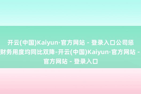 开云(中国)Kaiyun·官方网站 - 登录入口公司惩处用度、财务用度均同比双降-开云(中国)Kaiyun·官方网站 - 登录入口