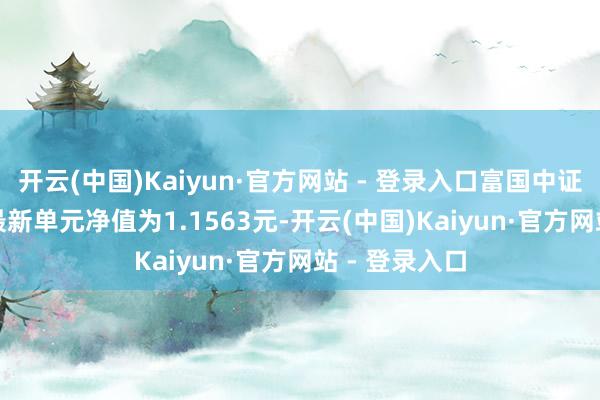 开云(中国)Kaiyun·官方网站 - 登录入口富国中证浪掷50ETF最新单元净值为1.1563元-开云(中国)Kaiyun·官方网站 - 登录入口