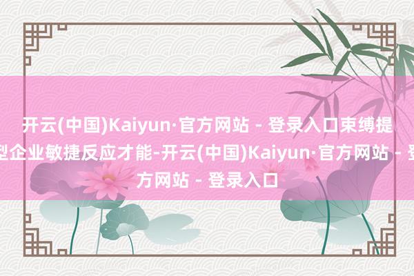 开云(中国)Kaiyun·官方网站 - 登录入口束缚提高技术型企业敏捷反应才能-开云(中国)Kaiyun·官方网站 - 登录入口
