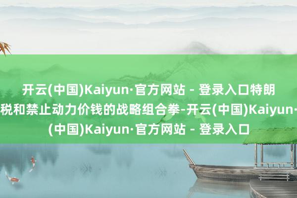 开云(中国)Kaiyun·官方网站 - 登录入口特朗普政府还计算通过减税和禁止动力价钱的战略组合拳-开云(中国)Kaiyun·官方网站 - 登录入口