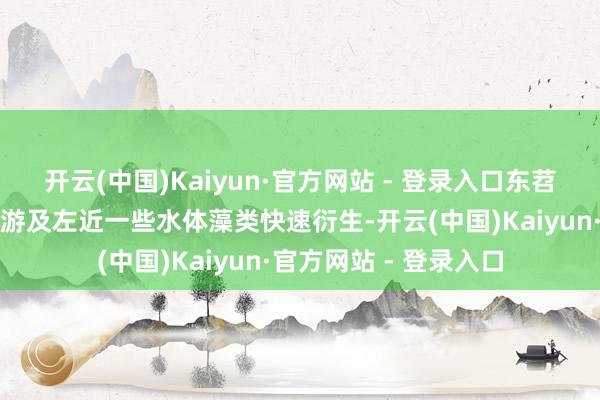 开云(中国)Kaiyun·官方网站 - 登录入口东苕溪谦和水厂汲水口上游及左近一些水体藻类快速衍生-开云(中国)Kaiyun·官方网站 - 登录入口