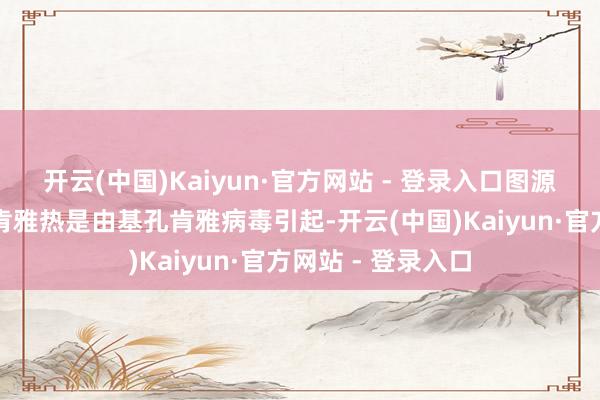 开云(中国)Kaiyun·官方网站 - 登录入口图源：收罗截图基孔肯雅热是由基孔肯雅病毒引起-开云(中国)Kaiyun·官方网站 - 登录入口