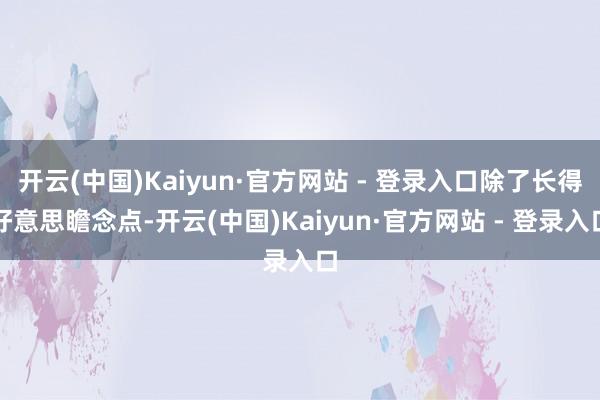 开云(中国)Kaiyun·官方网站 - 登录入口除了长得好意思瞻念点-开云(中国)Kaiyun·官方网站 - 登录入口